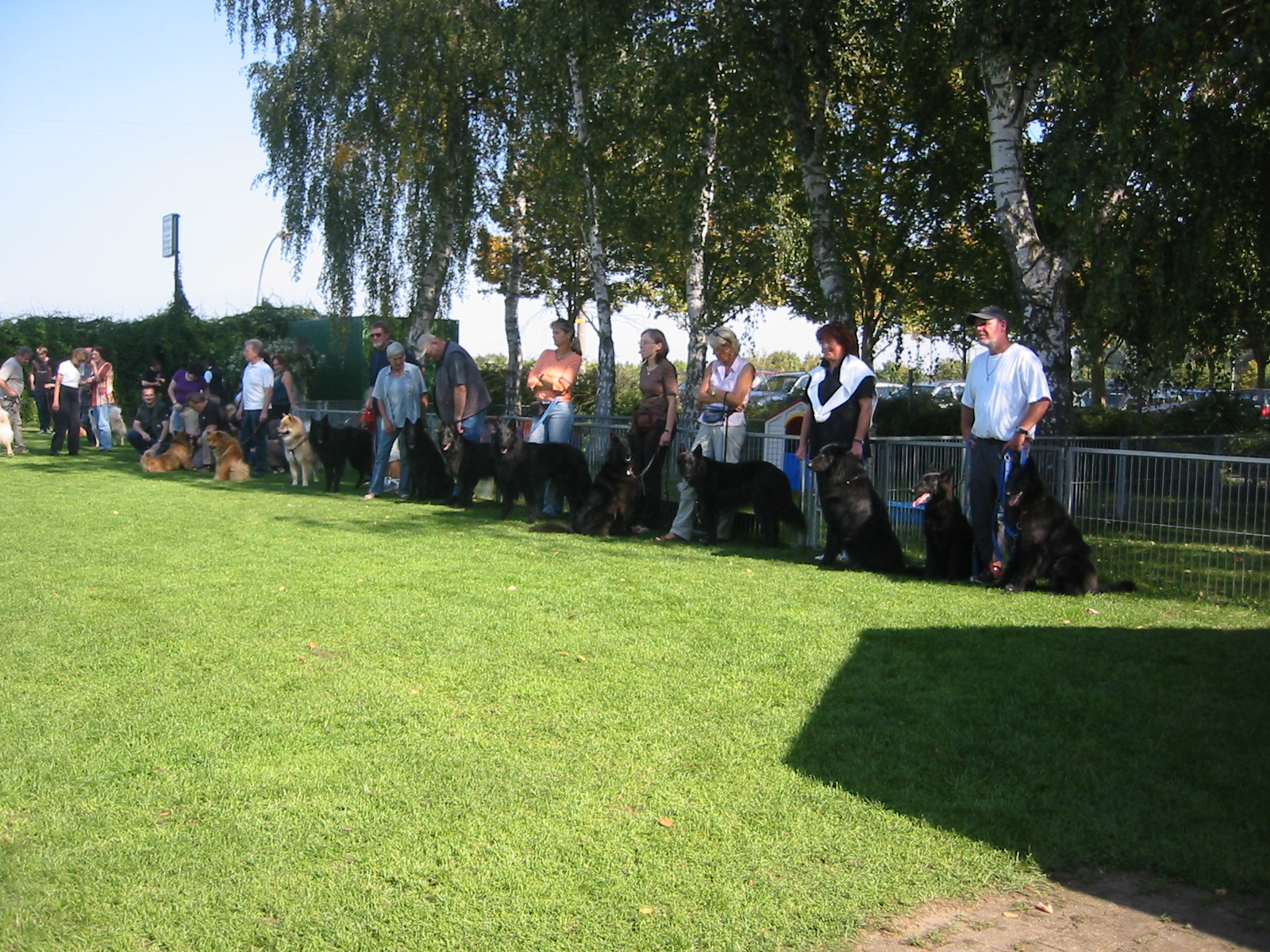 Balou,Buddy, Buck v. der schwarzen Wolfsangel